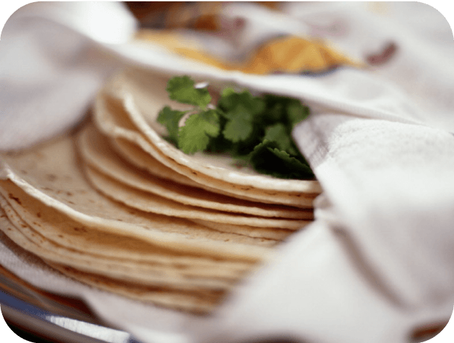Stack of tortillas with cilantro on top.